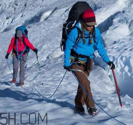 始祖鳥(niǎo)沖鋒衣多少錢？始祖鳥(niǎo)沖鋒衣價(jià)格