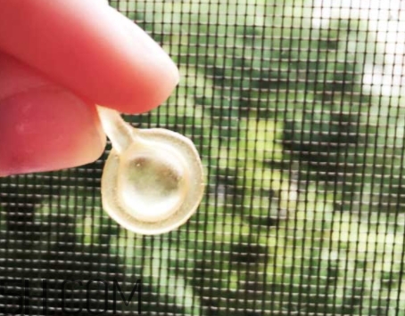 雅頓眼膠和面膠區(qū)別 雅頓眼膠和面膠可以一起用嗎？