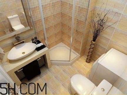 不能在廁所干什么？不能在衛(wèi)生間干什么？