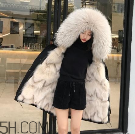 派克大衣內(nèi)膽什么毛好？派克服什么內(nèi)膽好？