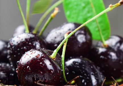 如何挑選車厘子？新鮮車厘子的挑選方法？