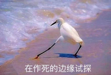 在違法的邊緣試探原圖 在違法的邊緣試探表情包 在違法的邊緣試探原圖 在違法的邊緣試探表情包