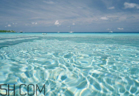 雙氧水是酸性還是堿性？雙氧水是純凈物還是混合物？