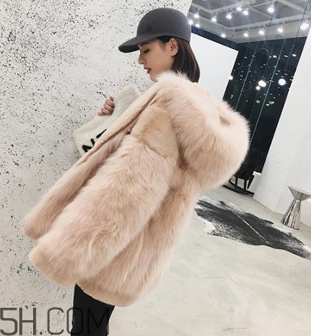 獺兔毛和兔毛哪個(gè)好？獺兔毛和兔毛的區(qū)別