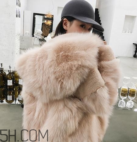 獺兔毛和兔毛哪個(gè)好？獺兔毛和兔毛的區(qū)別