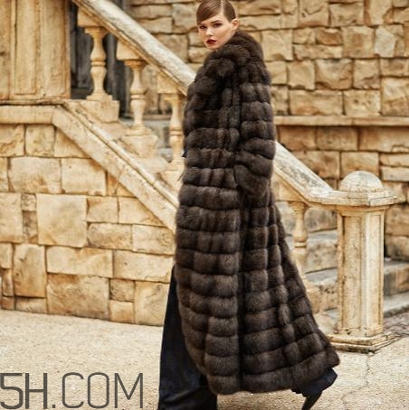 紫貂皮草一般多少錢？紫貂皮草價格