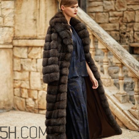 紫貂皮草一般多少錢？紫貂皮草價格