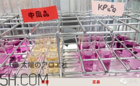 太陽社玻尿酸孕婦能用嗎？怎樣辯別真假太陽社玻尿酸？