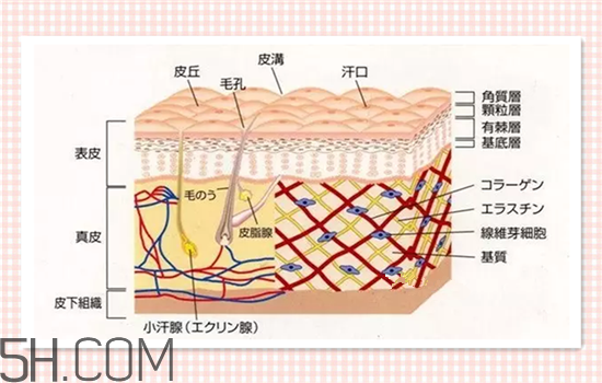 水光針可以祛斑嗎？涂抹式水光針的效果好嗎？