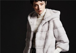 水貂皮草怎么鑒別？如何辨別水貂皮草真假？