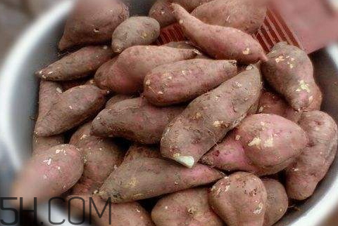 紅薯粉發(fā)酸了還能吃嗎 紅薯粉發(fā)霉了還能吃嗎 紅薯粉發(fā)酸了還能吃嗎 紅薯粉發(fā)霉了還能吃嗎