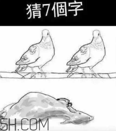 52422696代表什么意思？女生發(fā)52422696暗示什么