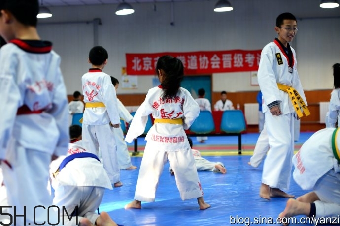 跆拳道考黃帶有哪些要求？跆拳道可以跳級(jí)考嗎？