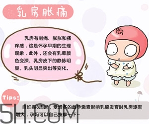 懷孕了應(yīng)該如何調(diào)理？懷孕了如何根據(jù)體質(zhì)調(diào)養(yǎng)？