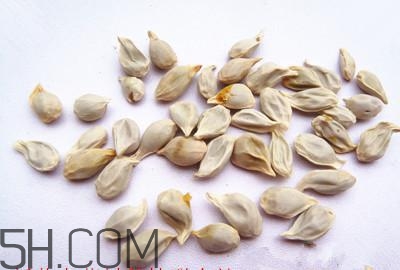 不小心吃了橘子籽怎么辦？橘子籽可以生吃嗎？