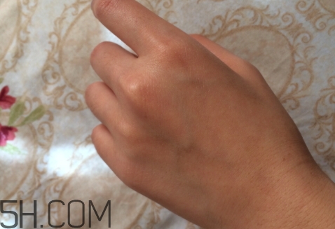 royvol萊茵是什么牌子？royvol萊茵是哪個(gè)國家的