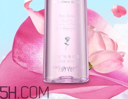 royvol萊茵是什么牌子？royvol萊茵是哪個(gè)國家的