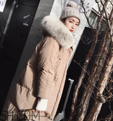 狐貍毛領怎么清洗？狐貍毛領可以用水洗嗎？