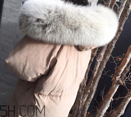 狐貍毛領(lǐng)怎么清洗？狐貍毛領(lǐng)可以用水洗嗎？