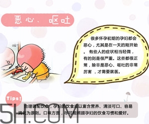 懷孕了應(yīng)該如何調(diào)理？懷孕了如何根據(jù)體質(zhì)調(diào)養(yǎng)？