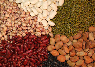 吃什么對前列腺有益？什么食物有益于前列腺？