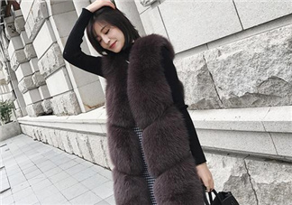 狐貍毛馬甲多少錢？狐貍毛馬甲價格