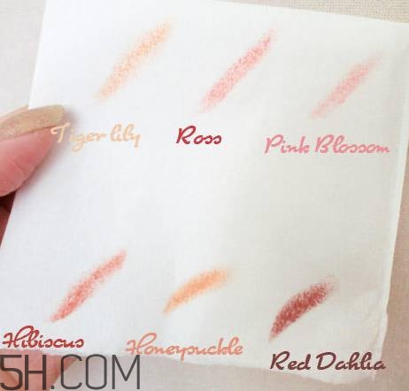 口紅是用什么做的？可以吃的口紅品牌推薦