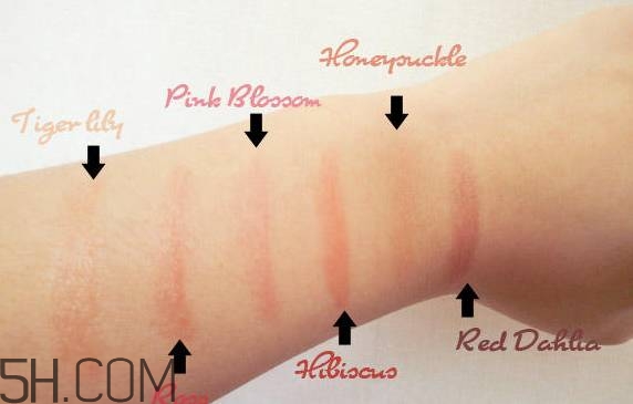 口紅是用什么做的？可以吃的口紅品牌推薦