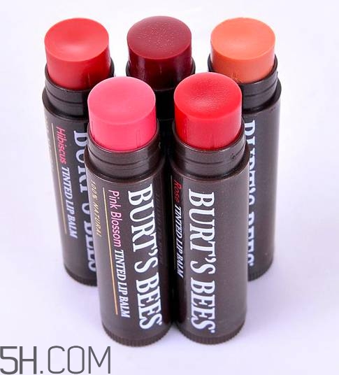 口紅是用什么做的？可以吃的口紅品牌推薦