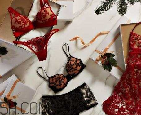 2018內(nèi)衣品牌排行榜 2018文胸品牌十強(qiáng)