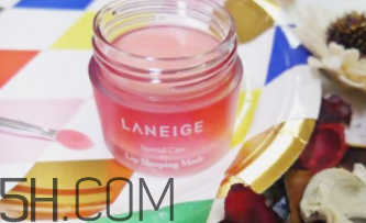 蘭芝夜間唇膜什么成分？孕婦能用嗎？