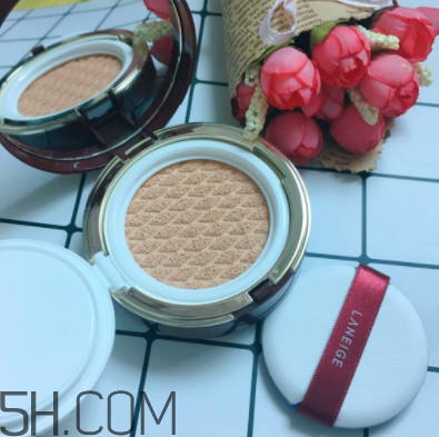 蘭芝氣墊霜控油嗎？蘭芝氣墊霜適合油皮嗎？