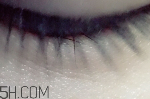 雅頓和嬌韻詩哪個(gè)好用？伊麗莎白雅頓和嬌韻詩哪個(gè)檔次高