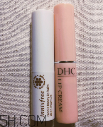 悅詩風吟唇膏哪款好用？悅詩風吟唇膏測評