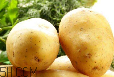 2018年土豆價(jià)格會怎么樣 2018年土豆多少錢一斤