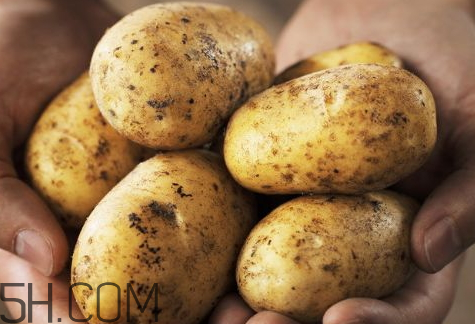 2018年土豆價(jià)格會怎么樣 2018年土豆多少錢一斤