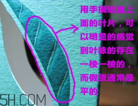 雅頓綠茶香水真假 雅頓綠茶香水真假對(duì)比圖