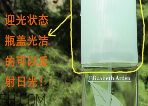 雅頓綠茶香水真假 雅頓綠茶香水真假對(duì)比圖