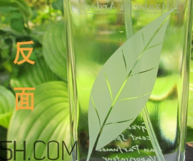 雅頓綠茶香水真假 雅頓綠茶香水真假對(duì)比圖