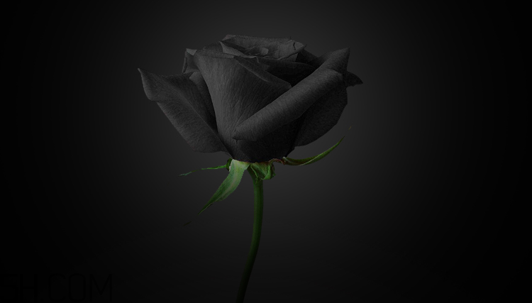 AHC黑玫瑰面膜 AHC黑玫瑰面膜