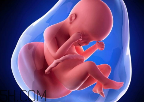 元旦同房懷孕什么時候 元旦懷孕的什么時候生 元旦同房懷孕什么時候 元旦懷孕的什么時候生