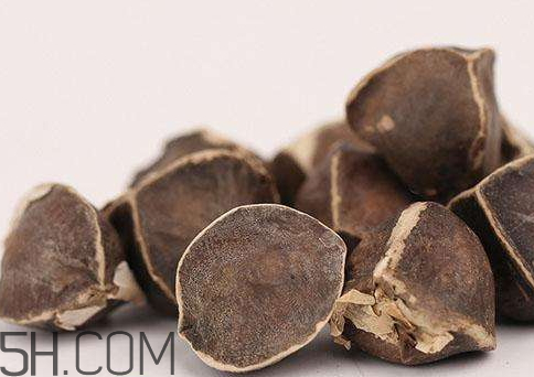 辣木籽哪里有賣 辣木籽哪里能買到 辣木籽哪里有賣 辣木籽哪里能買到