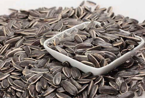 一粒瓜子的熱量是多少 一把瓜子的熱量是多少 一粒瓜子的熱量是多少 一把瓜子的熱量是多少