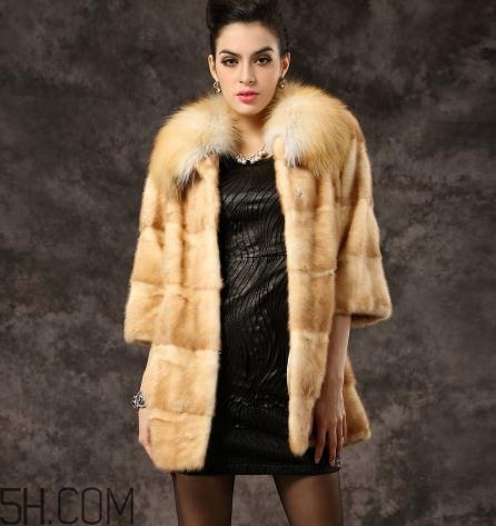 黃金貂是什么？黃金貂和水貂哪個好？