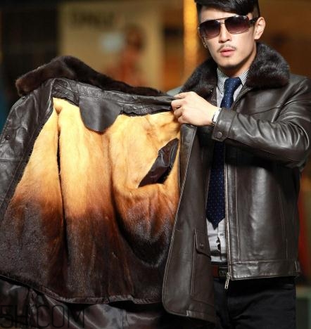 黃金貂是什么？黃金貂和水貂哪個好？