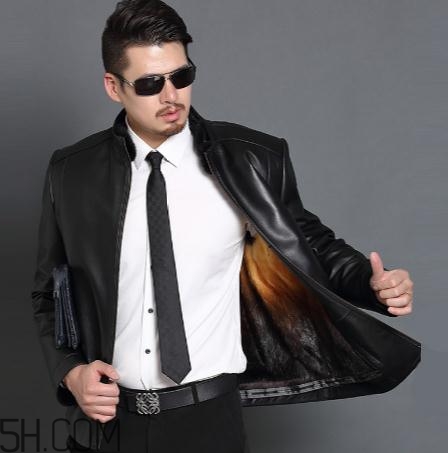 黃金貂是什么？黃金貂和水貂哪個好？