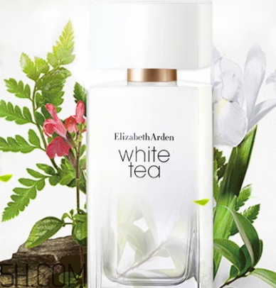 雅頓白茶香水和綠茶香水哪個好聞？