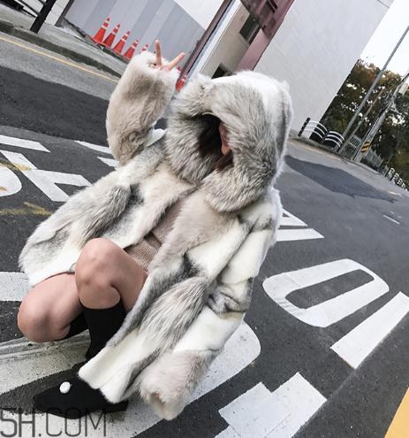 十字貂和水貂哪個(gè)好？十字貂和水貂哪個(gè)貴？