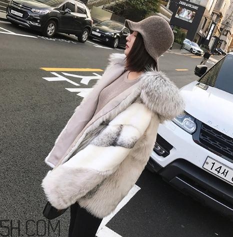 十字貂和水貂哪個(gè)好？十字貂和水貂哪個(gè)貴？