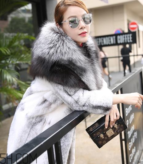 丹麥貂好還是美國貂好？丹麥貂和美國貂的區(qū)別